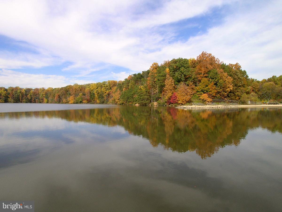 5603 Ravenel Lane Springfield, VA 22151 - Photo 57 of 65
