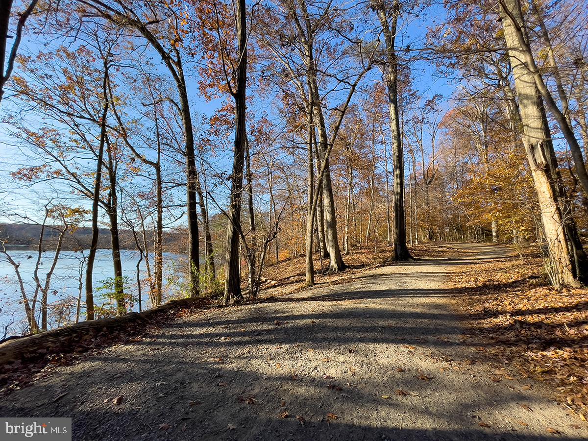 5603 Ravenel Lane Springfield, VA 22151 - Photo 64 of 65