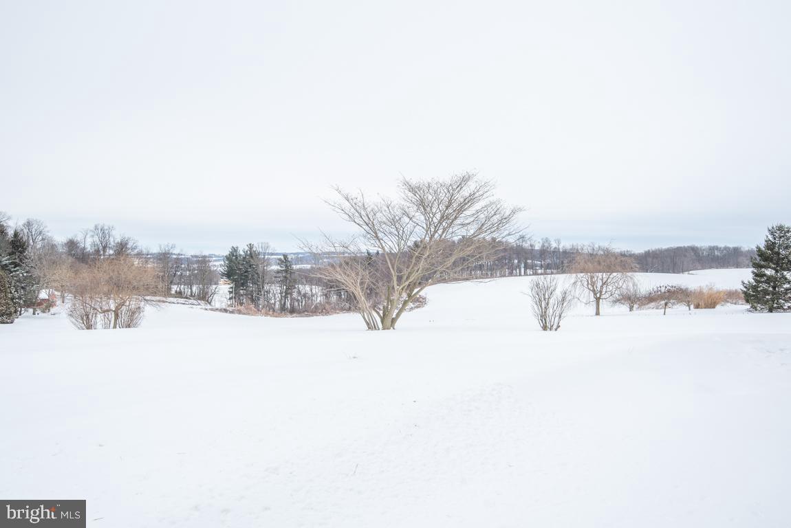 148 Scotland Road Quarryville, PA 17566 - Photo 46 of 61 Back Yard