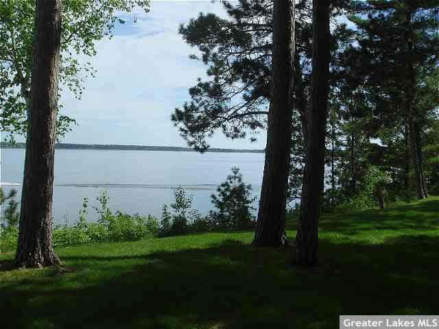 36413 Butternut Point Road Pequot Lakes, MN 56472 - Photo 5 of 9 Gallery Image 5