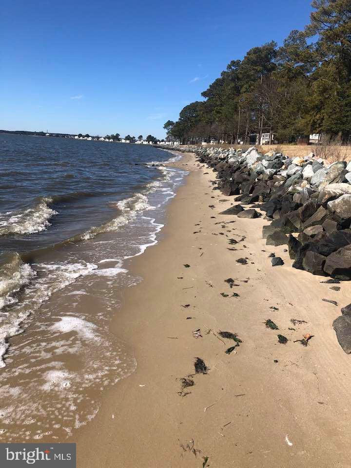 27113 Clipper Road, Unit 52505 Millsboro, DE 19966 - Photo 47 of 49 walk the beach at low tide!