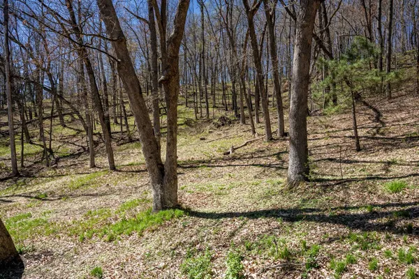 $535,000 | 20342 Blackhawk Avenue, Warrens, WI 54666