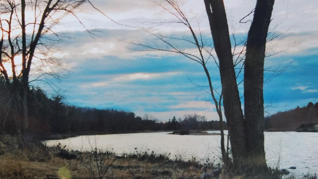 Map R09-25 Map R09-25 Maxfield Road Howland, ME 04448 - Photo 3 of 9 Photo