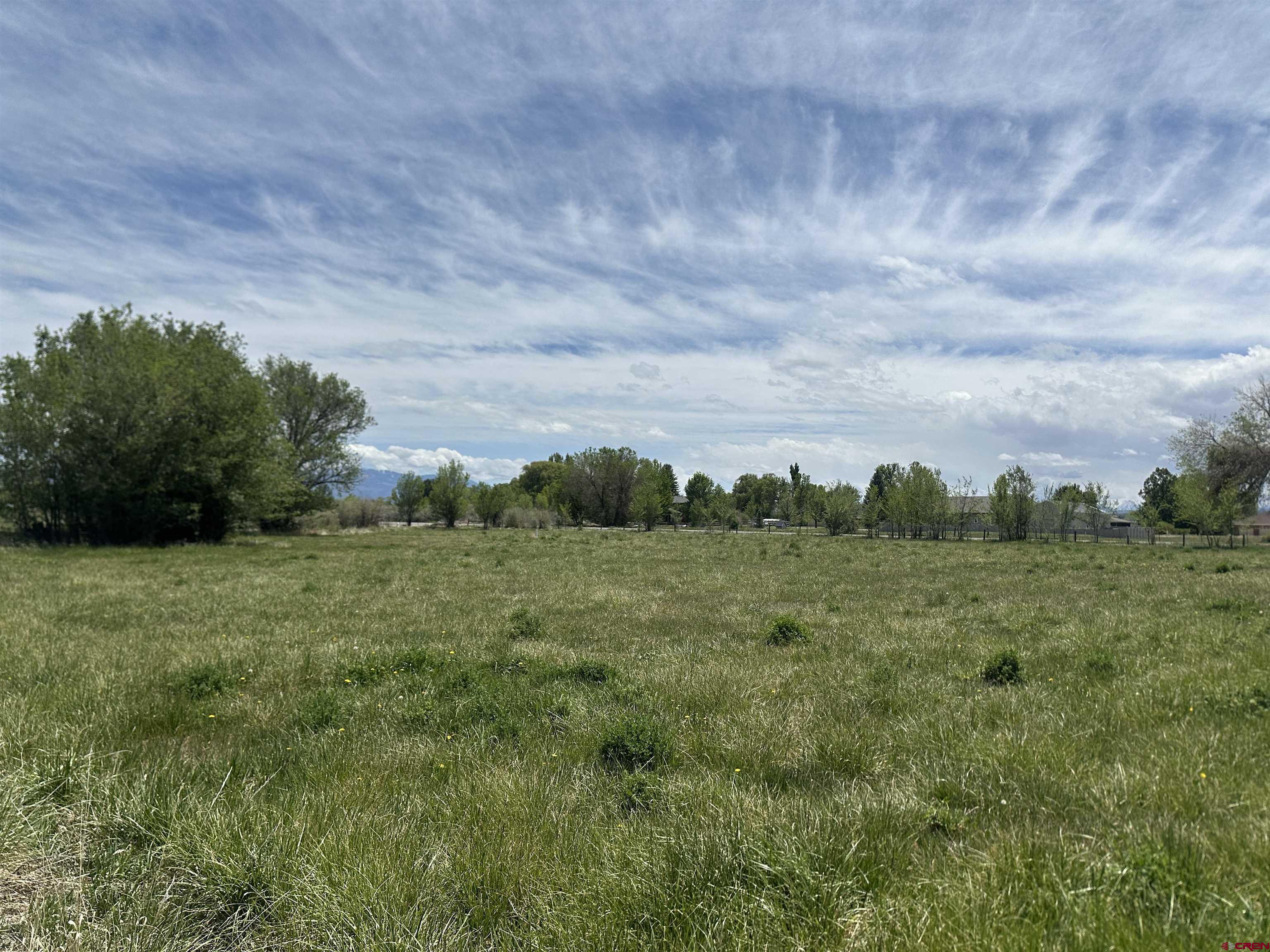 16674 6300 Road Montrose, CO 81403 - Photo 28 of 29