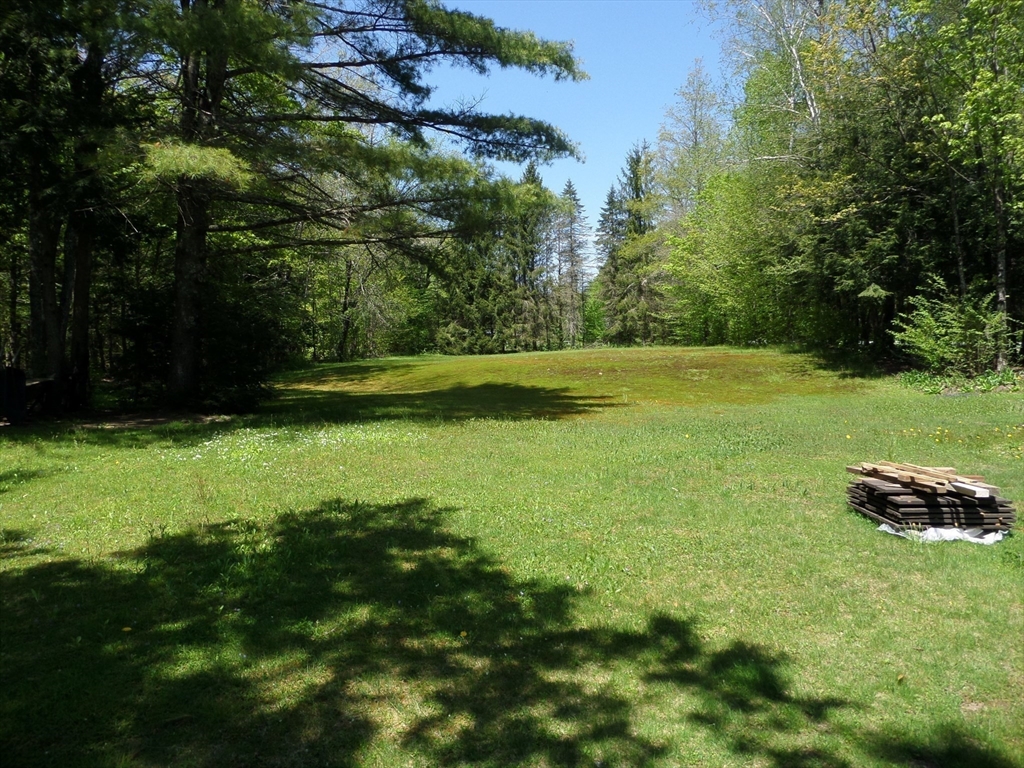 561 Dingle Road Worthington, MA 01098 - Photo 6 of 28 Gallery Image 6
