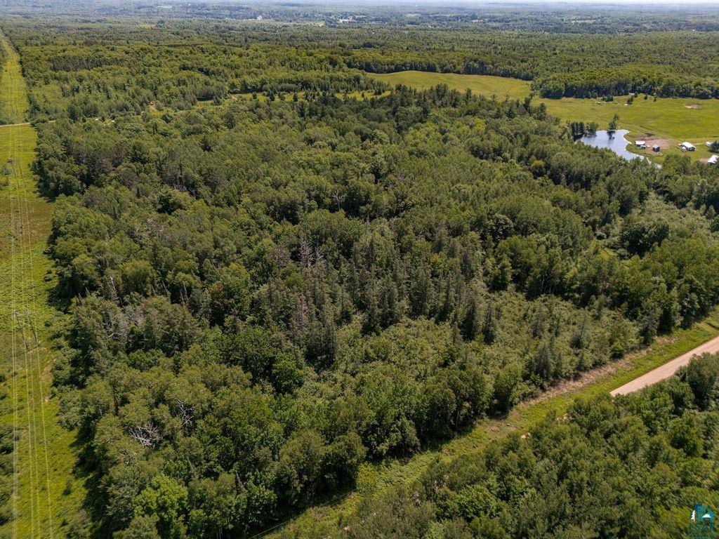 2592 Strandberg Road Barnum, MN 55707 - Photo 39 of 44 Expansive forested acreage featuring dense tree coverage