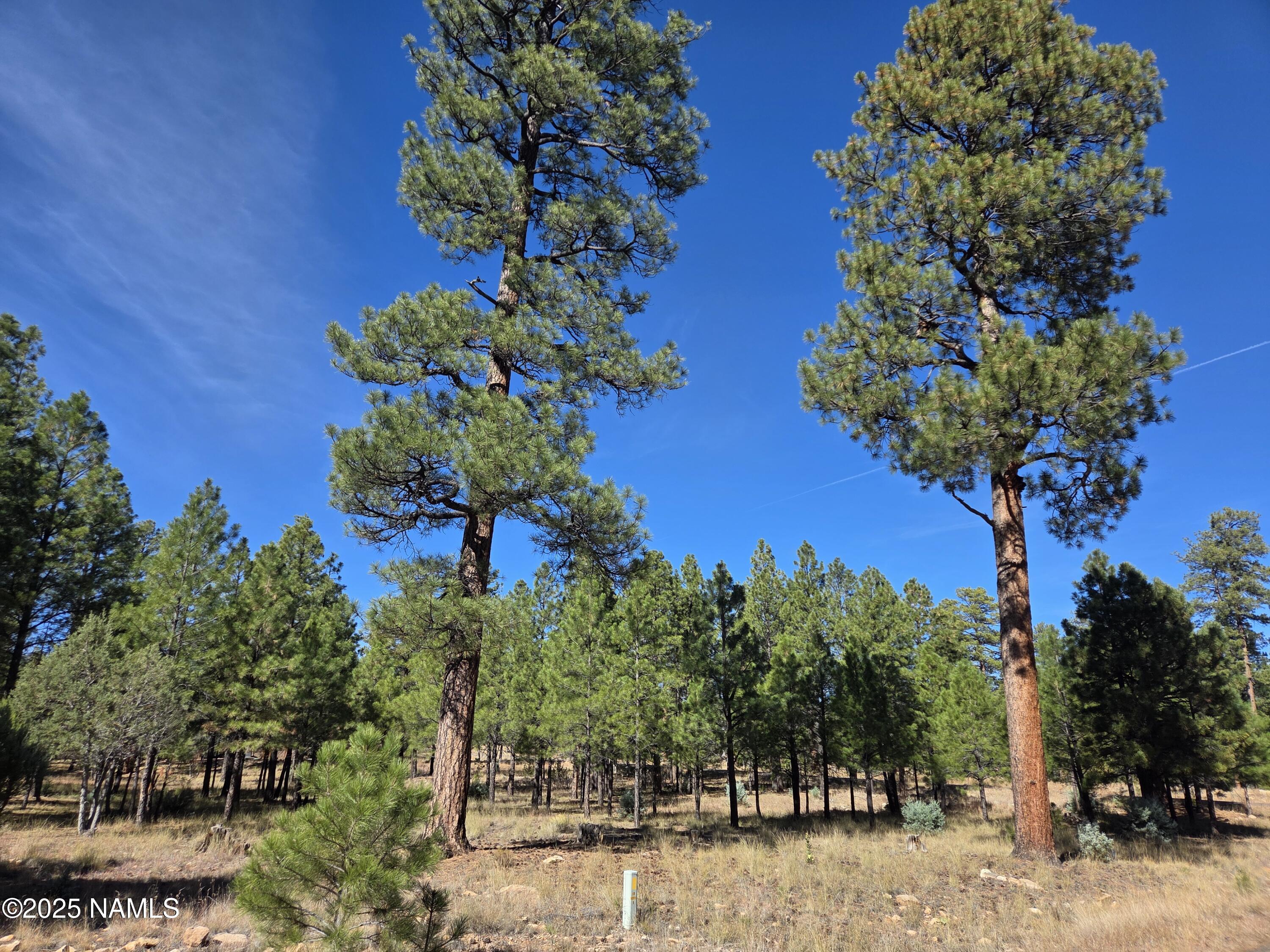 2522 Pinon Circle Happy Jack, AZ 86024 - Photo 11 of 14