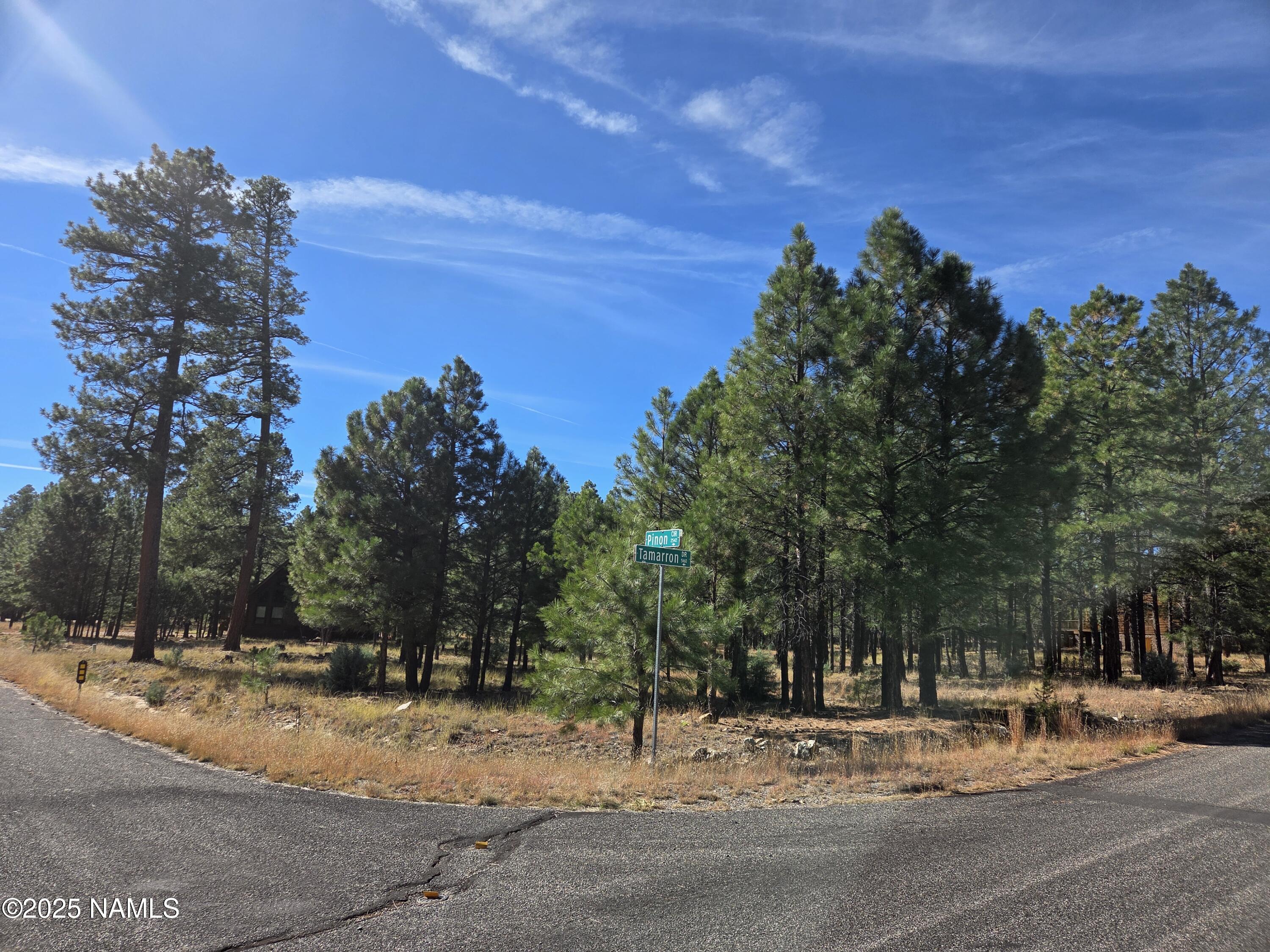 2522 Pinon Circle Happy Jack, AZ 86024 - Photo 13 of 14 a view of a yard with a house in the background