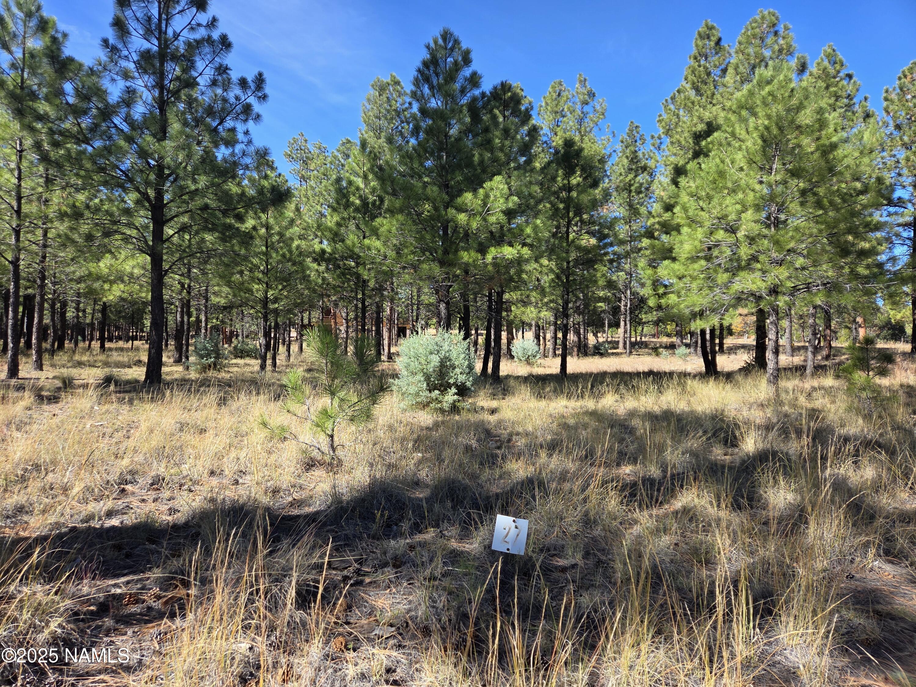 2522 Pinon Circle Happy Jack, AZ 86024 - Photo 3 of 14 a view of outdoor space with trees