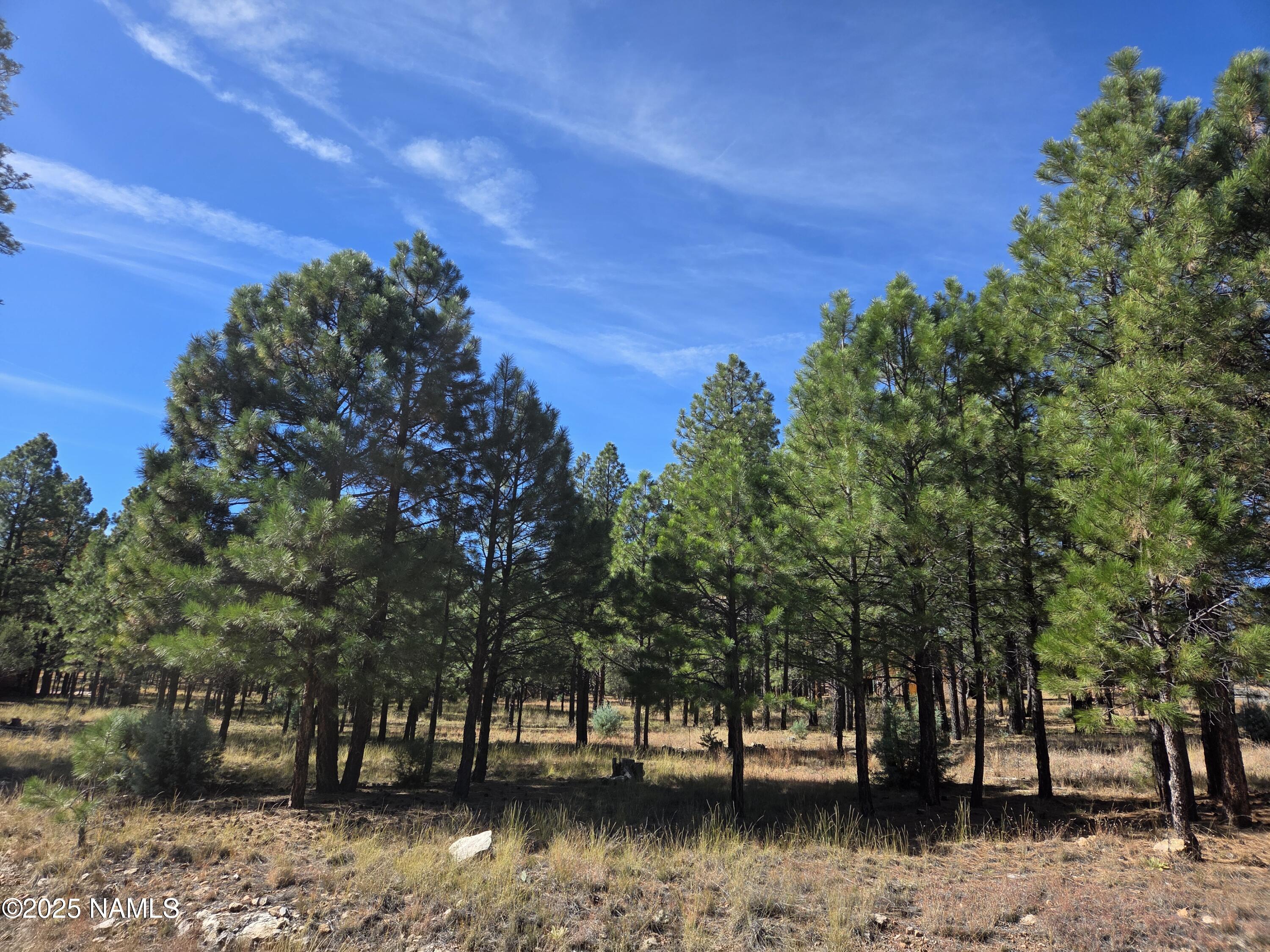 2522 Pinon Circle Happy Jack, AZ 86024 - Photo 4 of 14 a view of lake