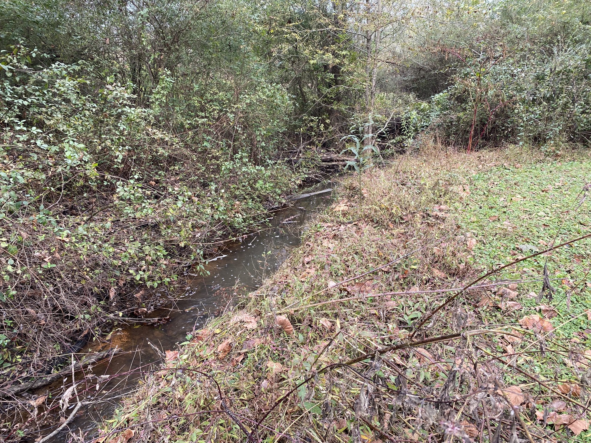 1550 Bloomington Road Baxter, TN 38544 - Photo 8 of 29