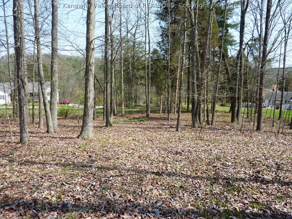 0 Randolph Drive Ripley, WV 25271 - Photo 11 of 11 Gallery Image 11