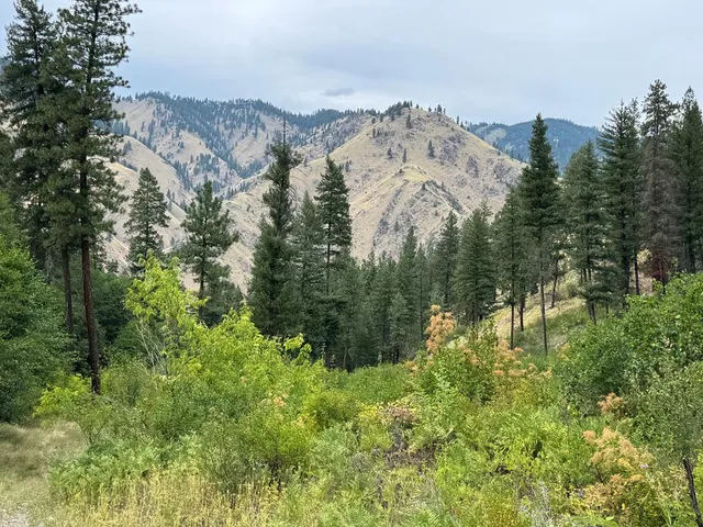 $1,000,000 | 0 Salmon River Road, Riggins, ID 83549