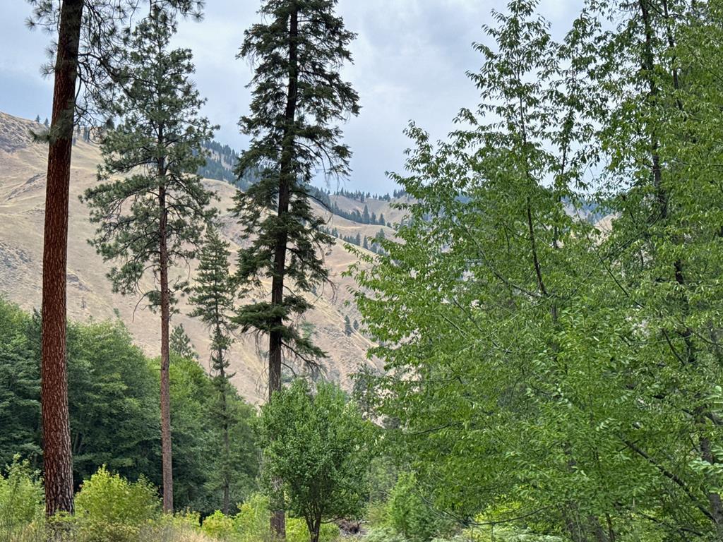 0 Salmon River Road Riggins, ID 83549 - Photo 11 of 12