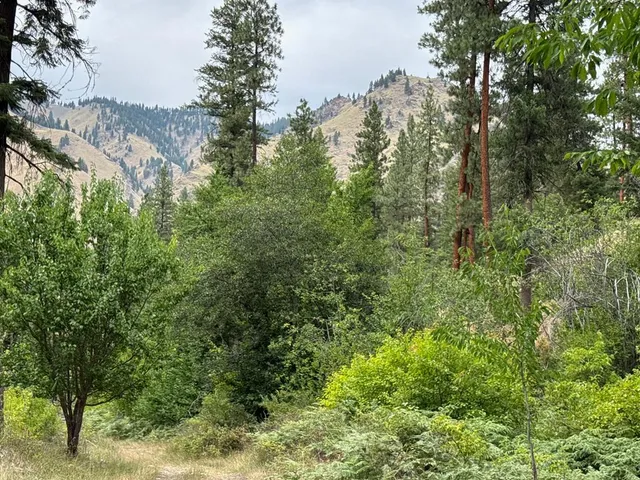 $1,000,000 | 0 Salmon River Road, Riggins, ID 83549