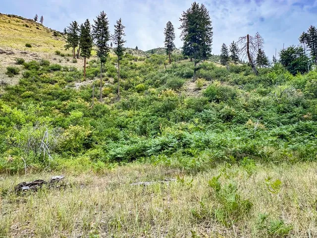 $1,000,000 | 0 Salmon River Road, Riggins, ID 83549
