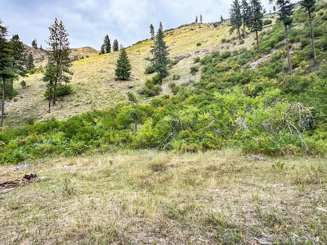 $1,000,000 | 0 Salmon River Road, Riggins, ID 83549