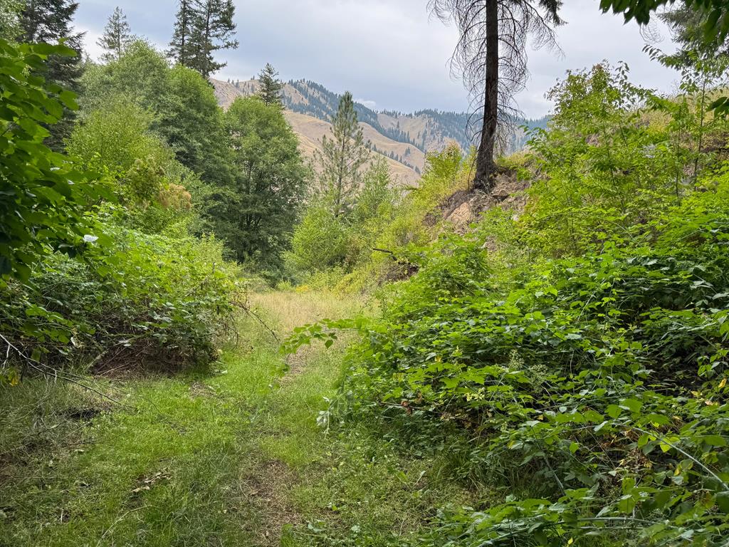 0 Salmon River Road Riggins, ID 83549 - Photo 5 of 12