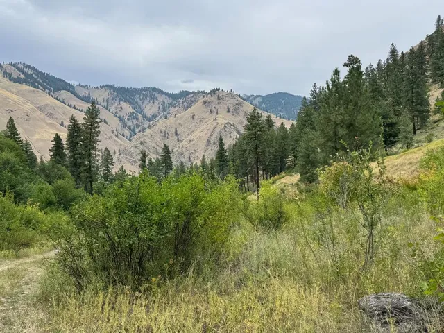 $1,000,000 | 0 Salmon River Road, Riggins, ID 83549