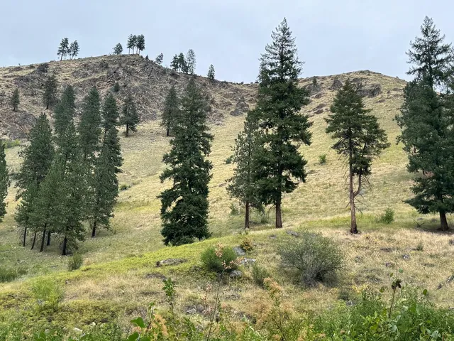 $1,000,000 | 0 Salmon River Road, Riggins, ID 83549