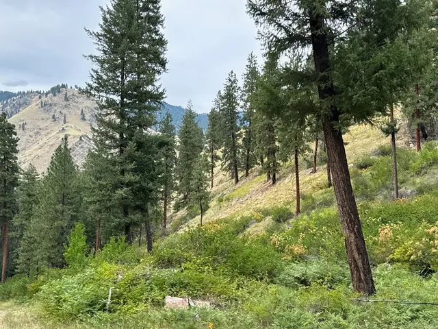 $1,000,000 | 0 Salmon River Road, Riggins, ID 83549