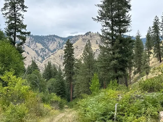 $1,000,000 | 0 Salmon River Road, Riggins, ID 83549