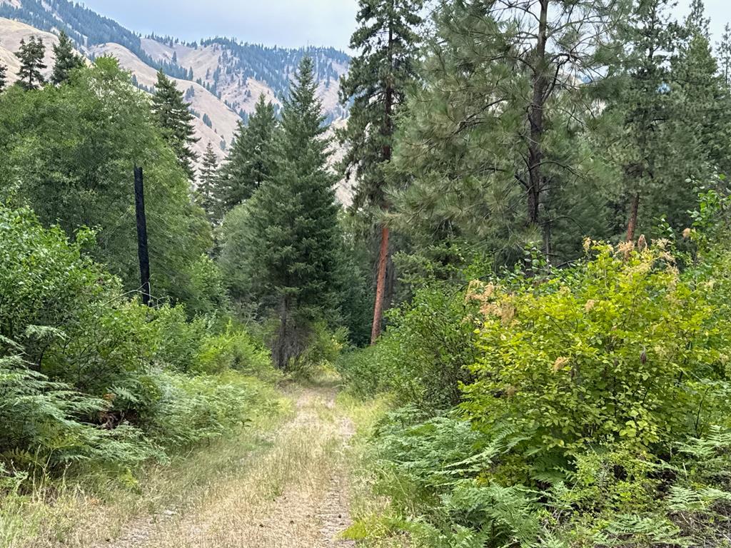 0 Salmon River Road Riggins, ID 83549 - Photo 10 of 12