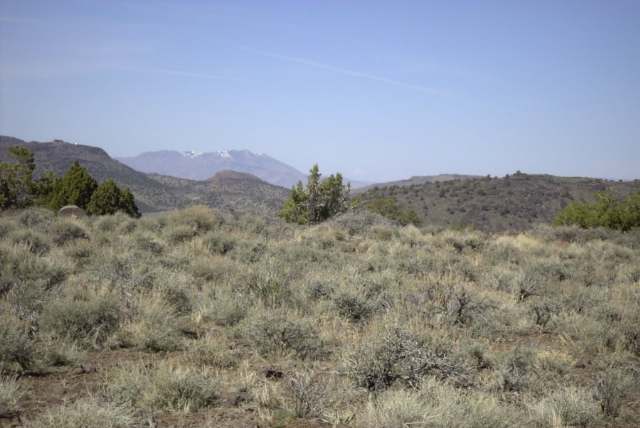113 South Virginia Street Reno, NV 89501 - Photo 1 of 1 a view of a mountain range with trees in the background