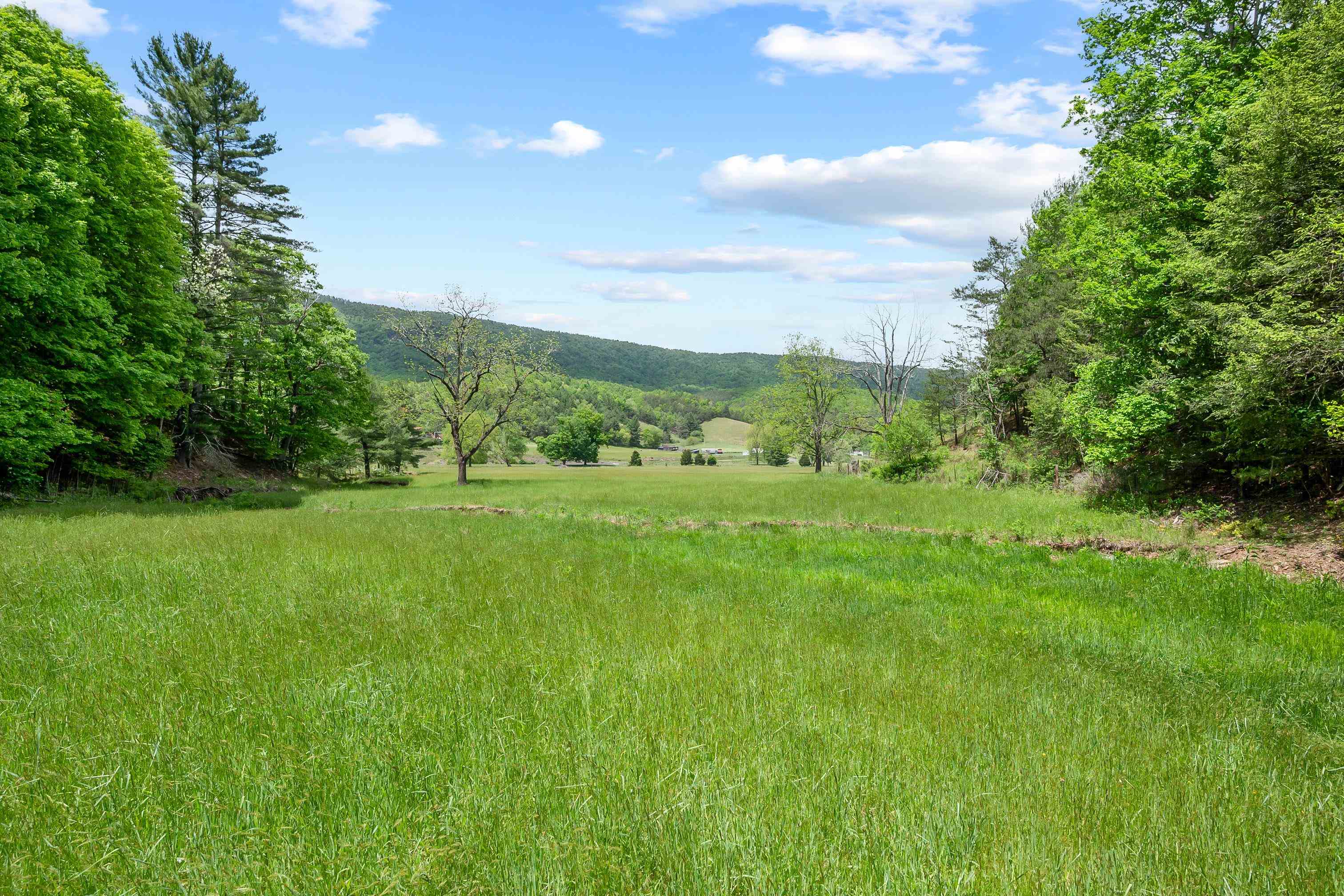 953 Little Creek Road Dublin, VA 24084 - Photo 122 of 124 Gallery Image 122
