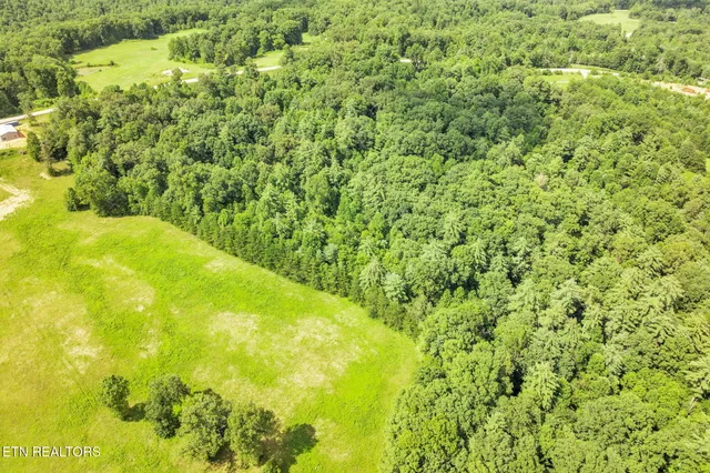 $69,900 | Nashville Highway, Deer Lodge, TN 37726