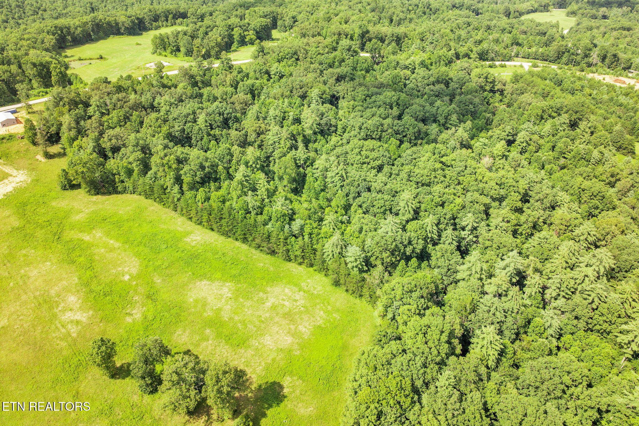 Nashville Highway Deer Lodge, TN 37726 - Photo 9 of 14 3-web-or-mls-Nashville Hwy--11