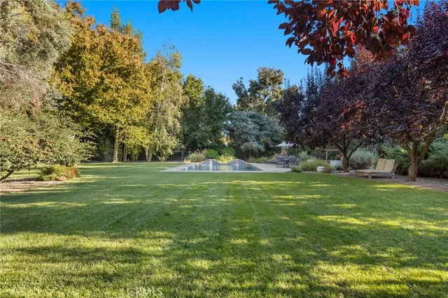a garden view with a fountain