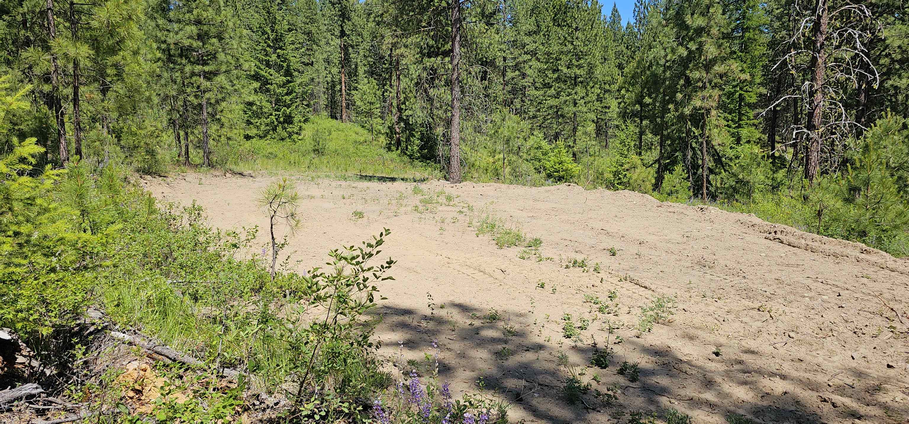 20 X Lynx Road Inchelium, WA 99138 - Photo 8 of 38 Gallery Image 8