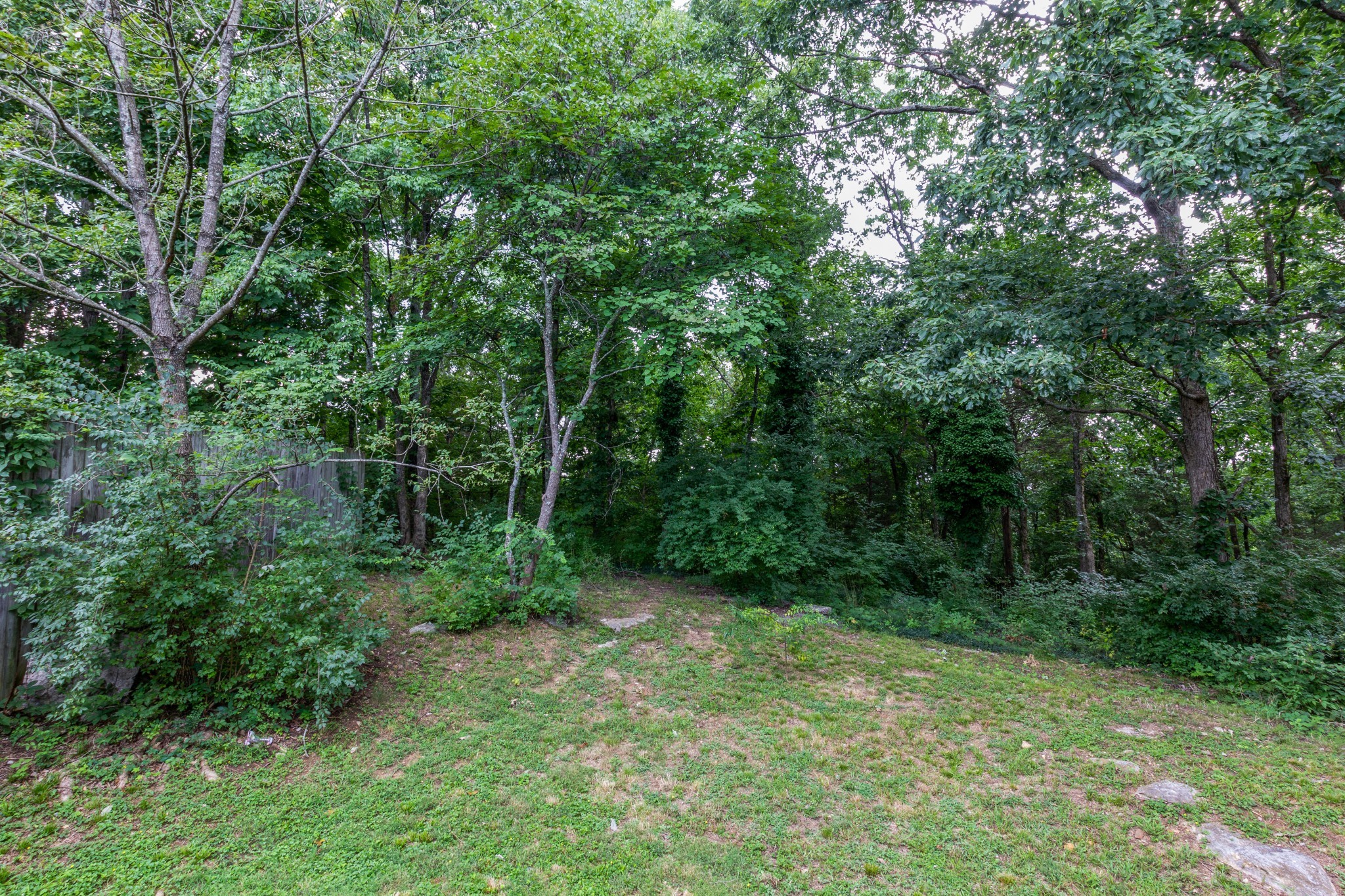 2315 Rader Ridge Road Antioch, TN 37013 - Photo 26 of 29 a view of backyard with green space