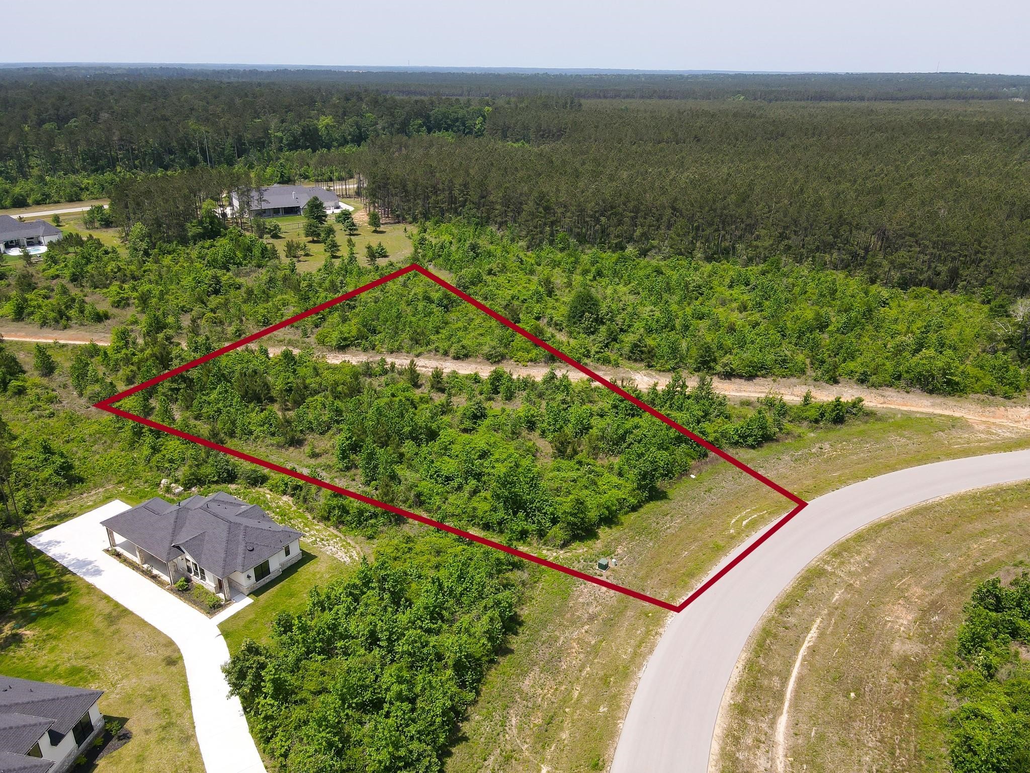 16089 Forest Mill Road Willis, TX 77378 - Photo 1 of 12