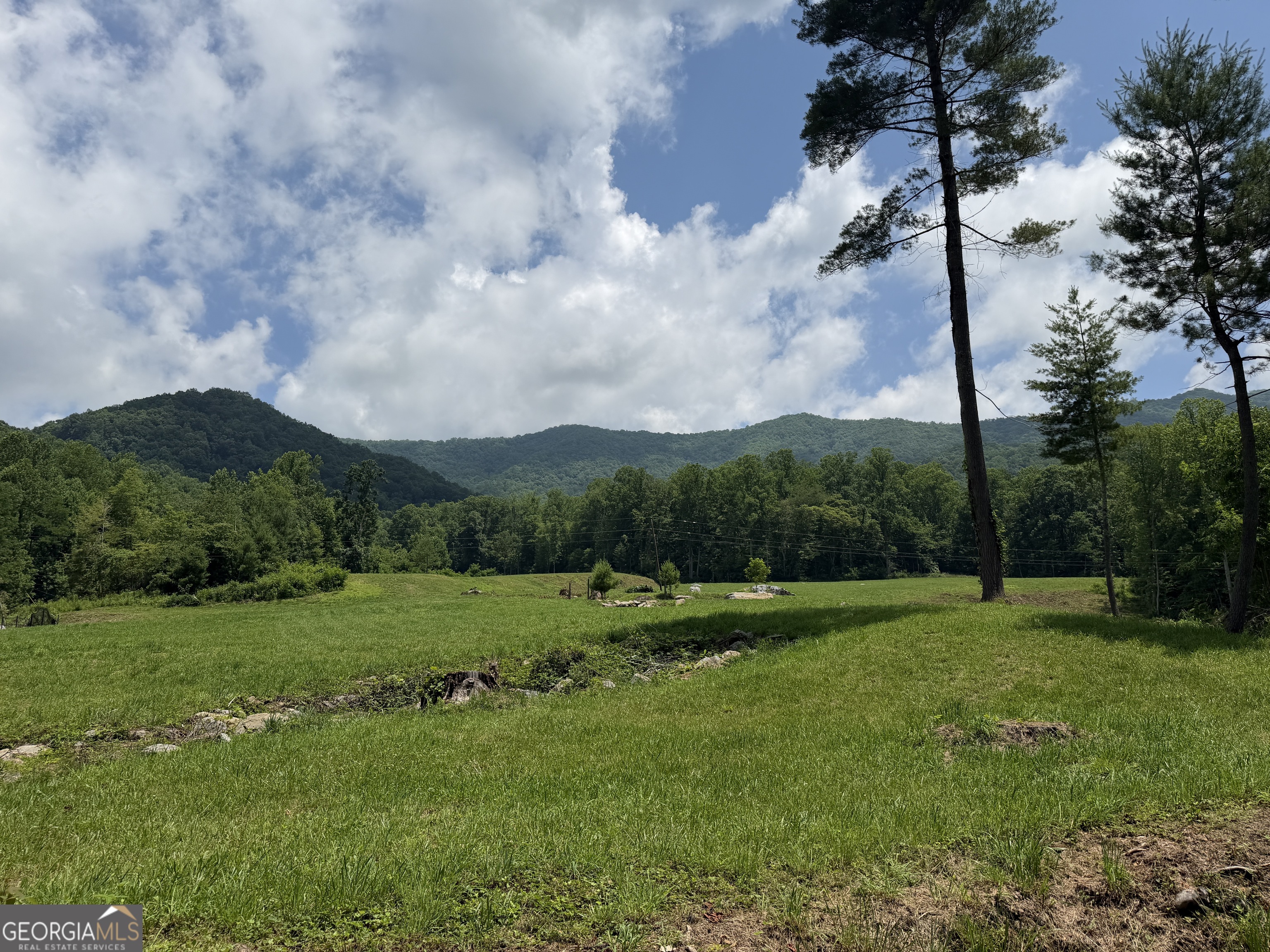 1449 Muskrat Creek Road Hayesville, NC 28904 - Photo 61 of 95