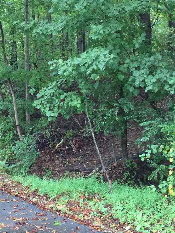 Lot 6 Robinson Street Honea Path, SC 29654 - Photo 2 of 6 Gallery Image 2