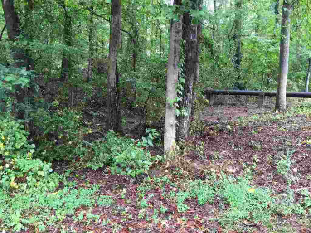 Lot 6 Robinson Street Honea Path, SC 29654 - Photo 3 of 6 Gallery Image 3