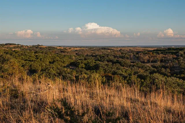 a view of a lake from a yard
