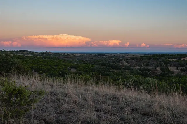 a view of a lush green field