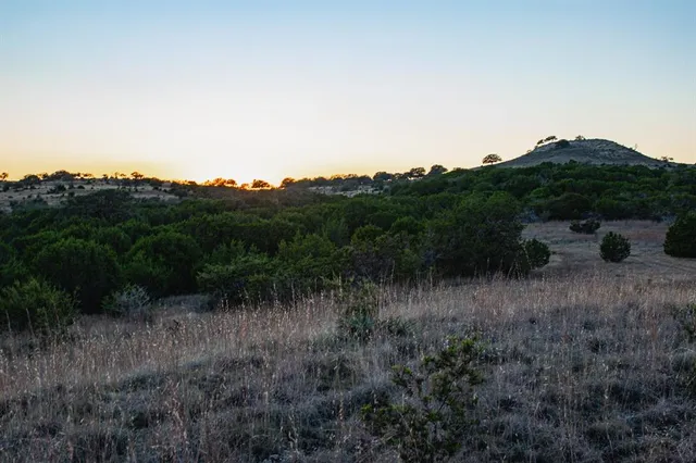 a view of a lake in middle of forest