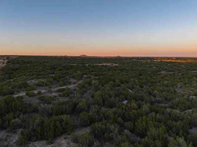 a view of a garden with a yard