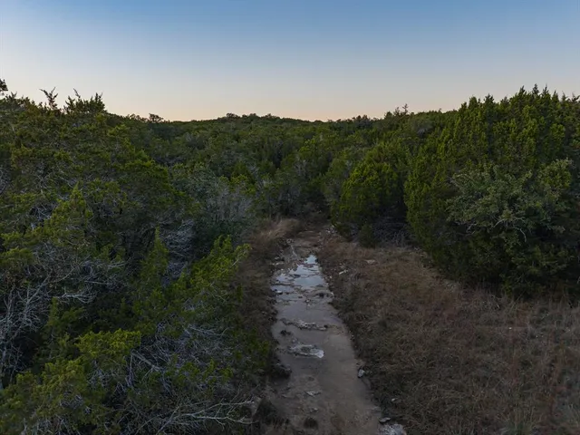 a view of a mountain range with a forest