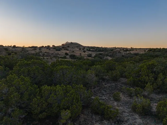 a view of a lake in middle of the forest