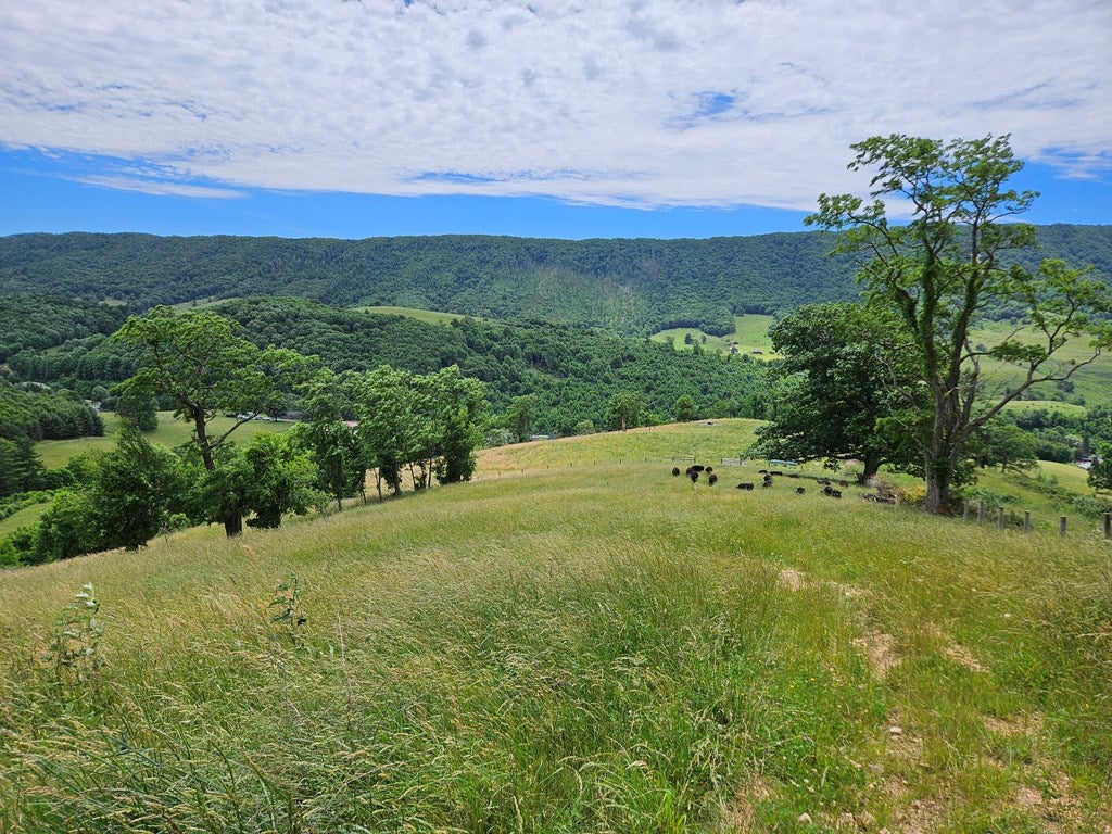 2451 Gratton Road Tazewell, VA 24651 - Photo 27 of 49 Gallery Image 27