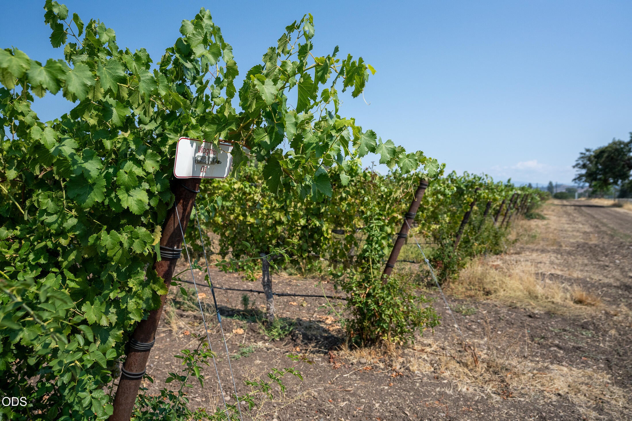 1098 Nick Young Road Eagle Point, OR 97524 - Photo 67 of 89 Gallery Image 67