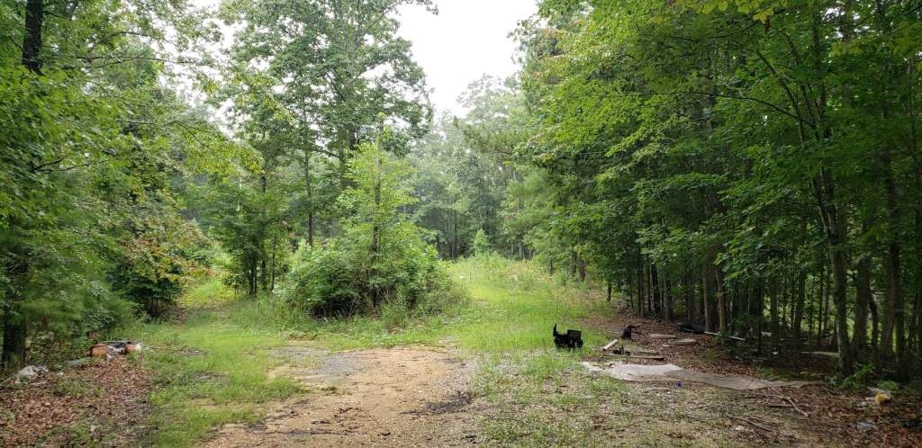 7667 Highway 101 Rockmart, GA 30153 - Photo 2 of 3 a view of a lush green forest