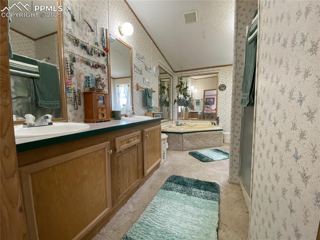 3955 South Meridian Road Colorado Springs, CO 80929 - Photo 13 of 39 a bathroom with a sink and a mirror