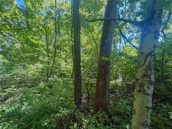 $29,900 | Keffer Road, Stockport, OH 43787