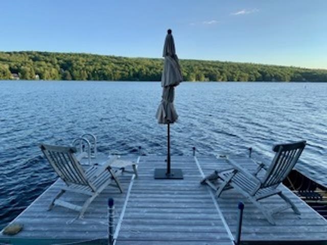 199 Hancock Road Harrisville, NH 03450 - Photo 33 of 56